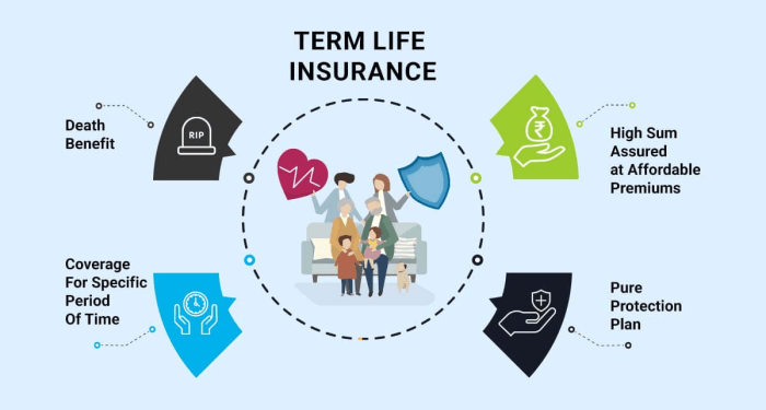 Term Life Insurance: The Only Guide You Need - Wealth Nation