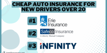 Cheap Auto Insurance for New Drivers Over 20 in 2025 (Top 9 Companies ...