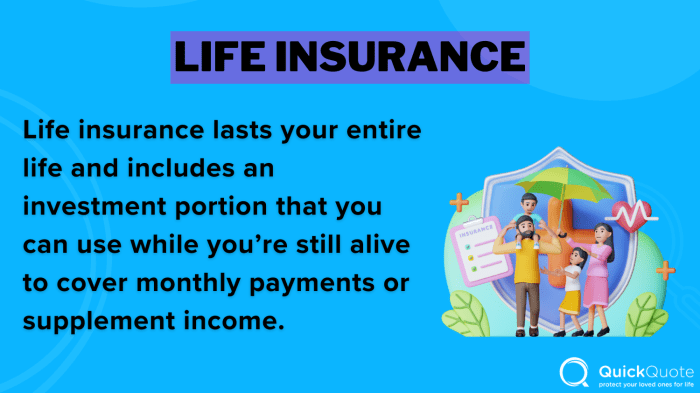 Best Life Insurance for Expats in 2025 (Top 10 Companies) | QuickQuote.com